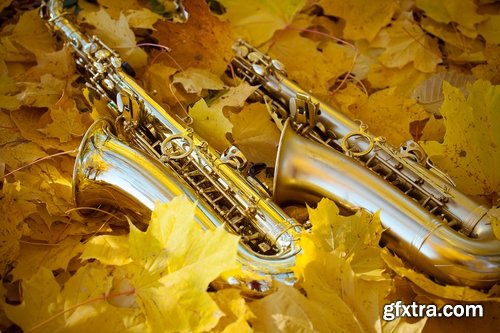 Collection of beautiful saxophones 25 HQ Jpeg