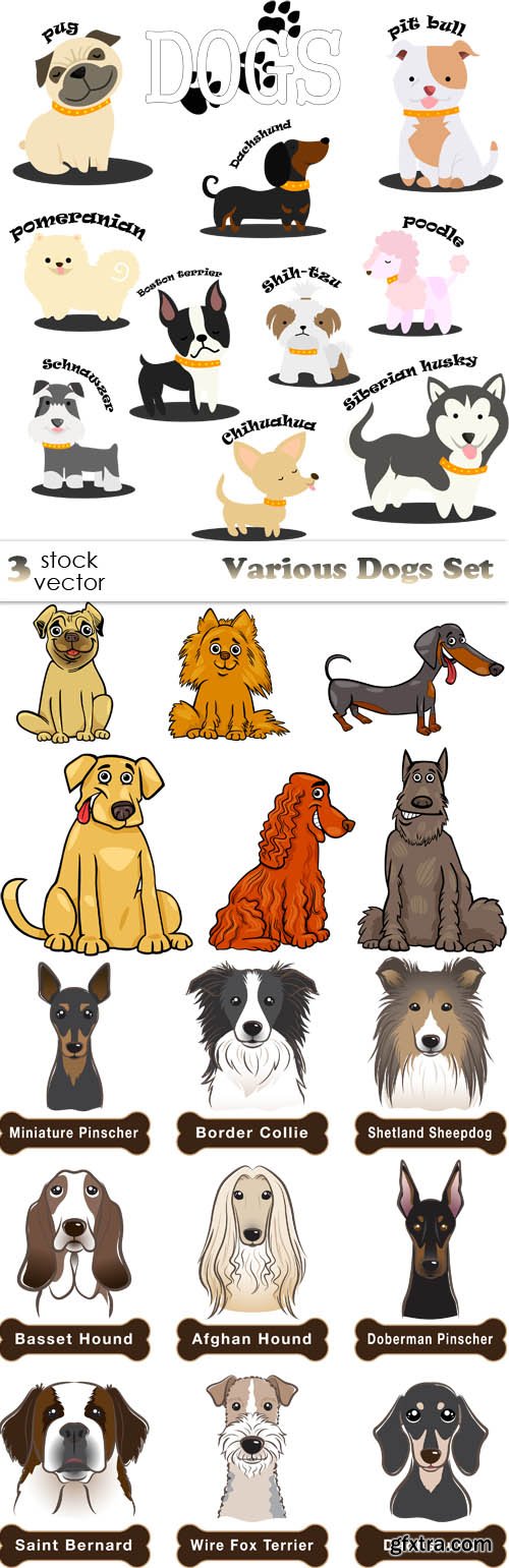 Vectors - Various Dogs Set