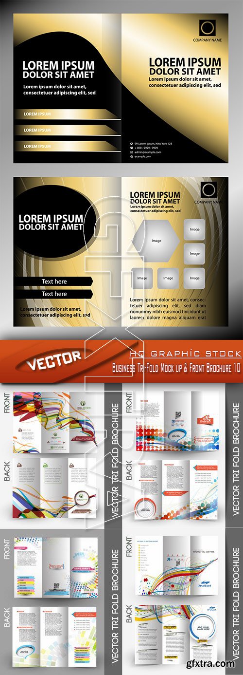 Stock Vector - Business Tri-Fold Mock up & Front Brochure 10