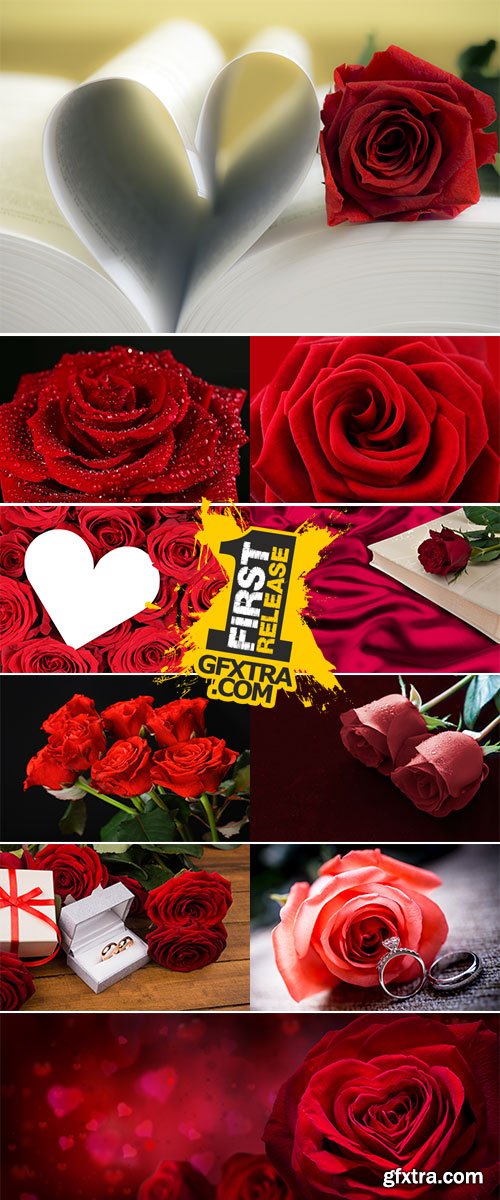 Stock Photo Bouquet of red roses, St Valentine's concept