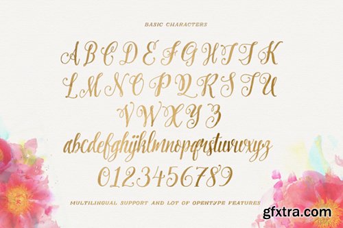 Pretty Script Font