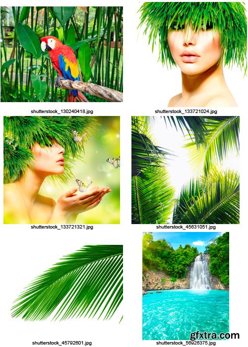 Tropical Forest 25xJPG