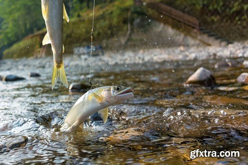 Stock Photos - Fishing 2, 25xJPG