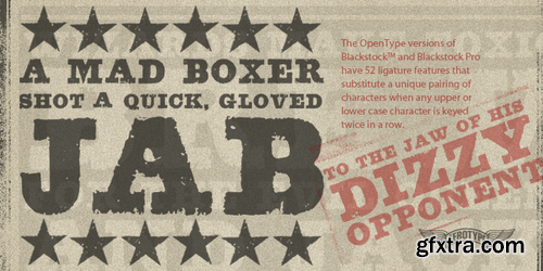 Blackstock - 1 font: $49.00