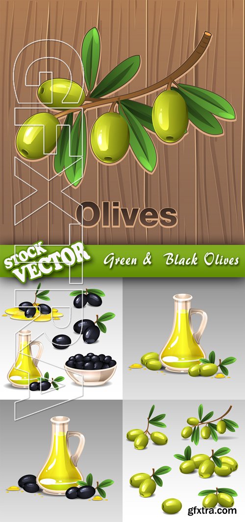 Stock Vector - Green &  Black Olives