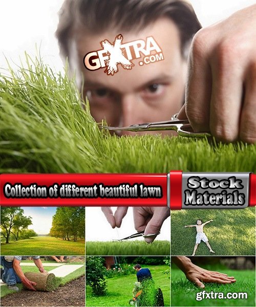 Collection of different beautiful lawn 25 HQ Jpeg