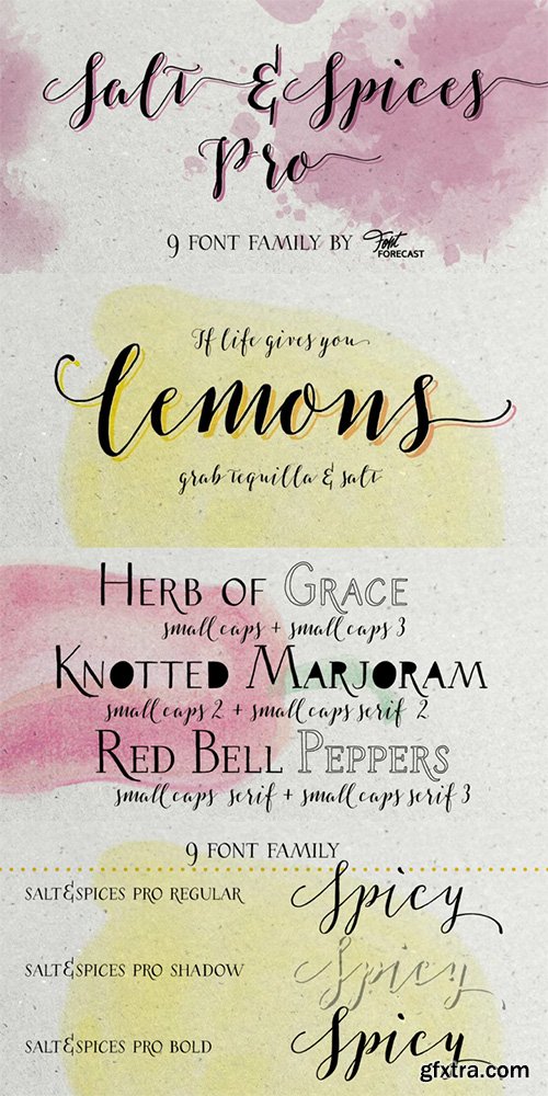 Salt&Spices Pro Font Family - 9 Fonts $171