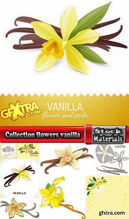 Collection flowers vanilla 25 Eps