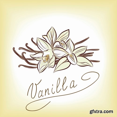 Collection flowers vanilla 25 Eps