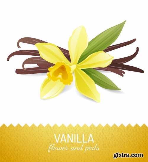 Collection flowers vanilla 25 Eps