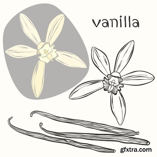 Collection flowers vanilla 25 Eps