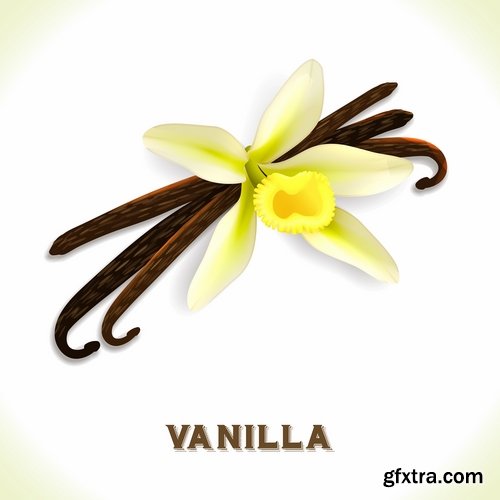 Collection flowers vanilla 25 Eps