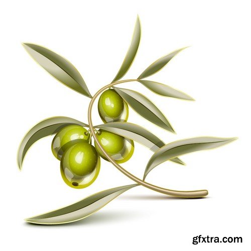 Stock Vectors - Olive oil 2, 25xEPS