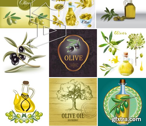 Stock Vectors - Olive oil 2, 25xEPS