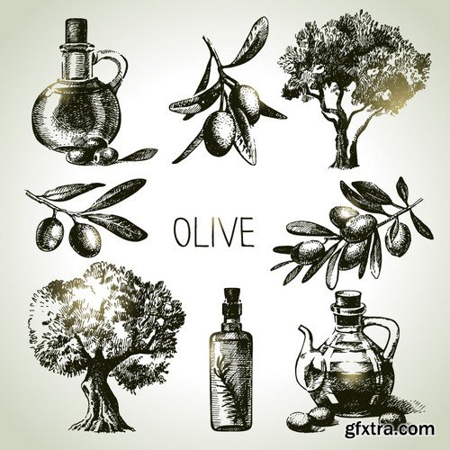 Stock Vectors - Olive oil 2, 25xEPS