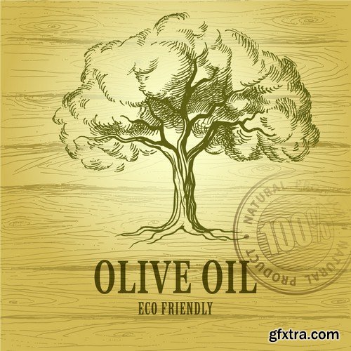 Stock Vectors - Olive oil 2, 25xEPS