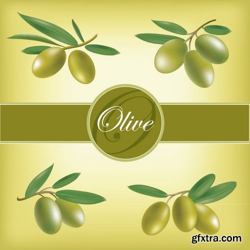 Stock Vectors - Olive oil 2, 25xEPS