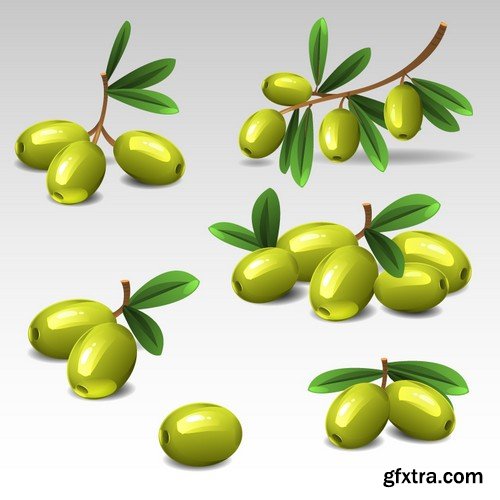 Stock Vectors - Olive oil 2, 25xEPS