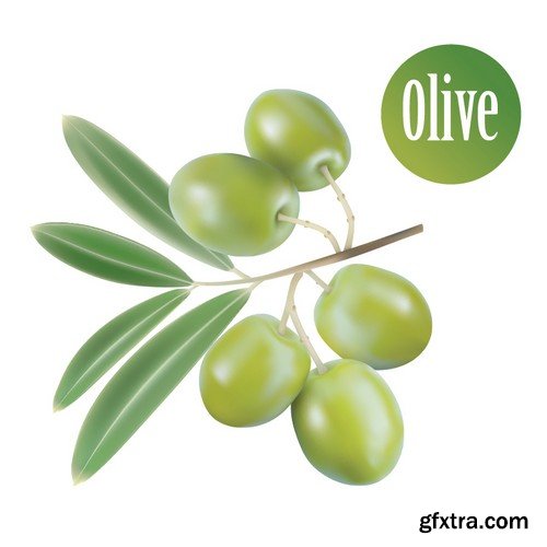 Stock Vectors - Olive oil 2, 25xEPS