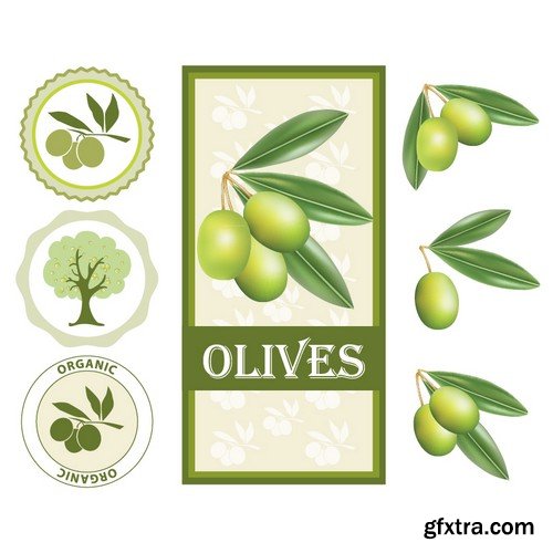 Stock Vectors - Olive oil 2, 25xEPS