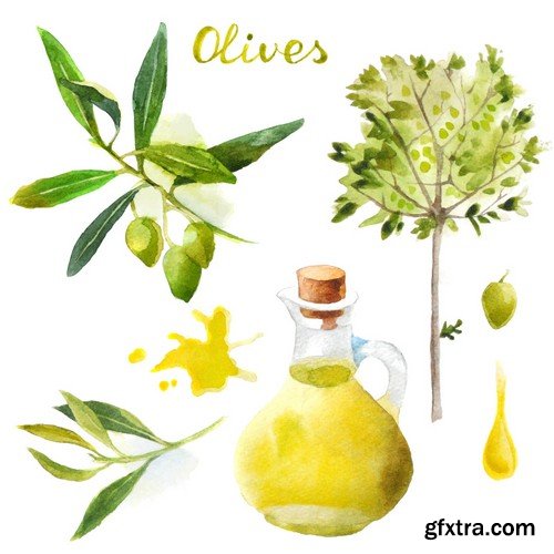 Stock Vectors - Olive oil 2, 25xEPS