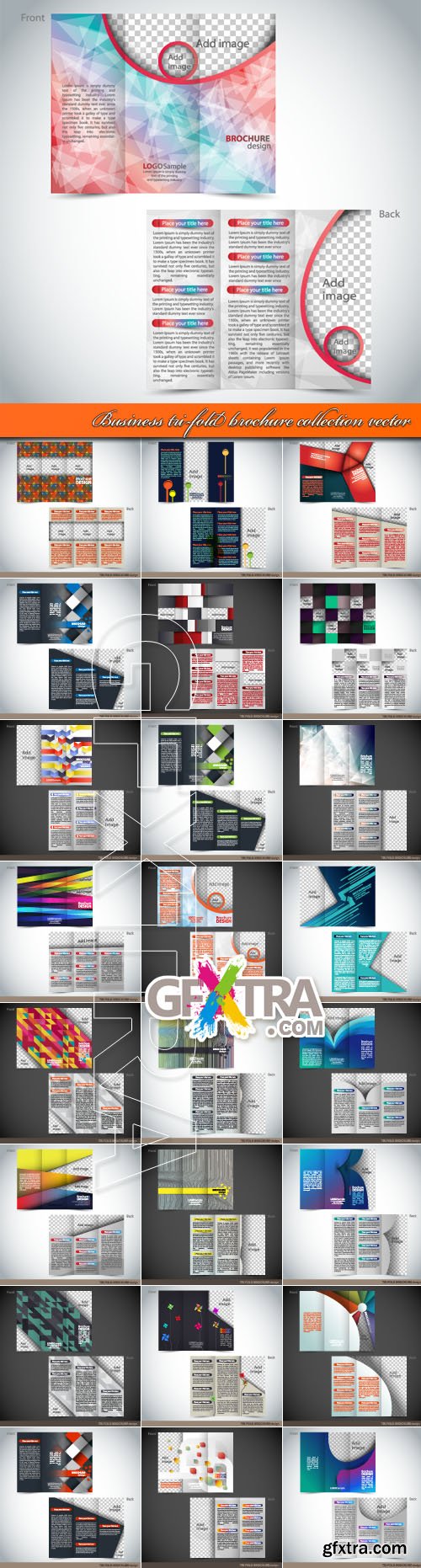 Business tri-fold brochure collection vector