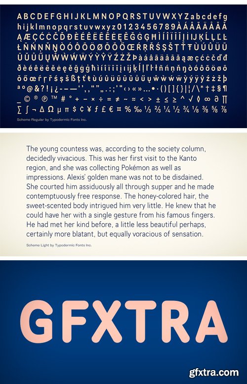 Scheme Font Family - 4 Fonts $108