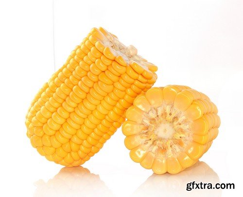 Stock Photos - Corn, 25xJPG