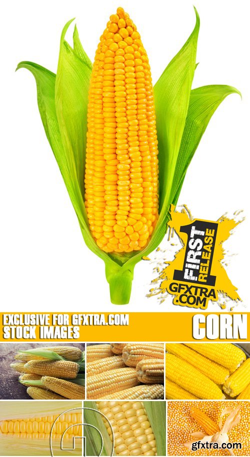 Stock Photos - Corn, 25xJPG