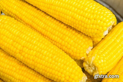 Stock Photos - Corn, 25xJPG