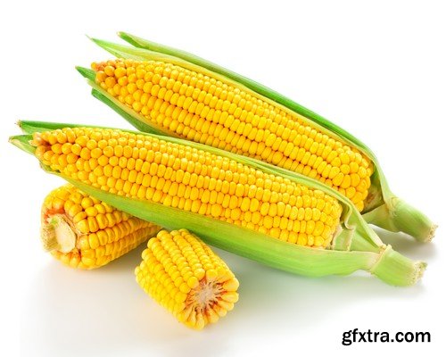 Stock Photos - Corn, 25xJPG