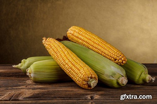 Stock Photos - Corn, 25xJPG