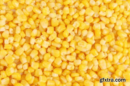 Stock Photos - Corn, 25xJPG