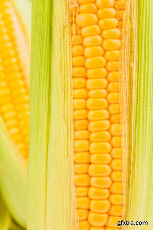 Stock Photos - Corn, 25xJPG