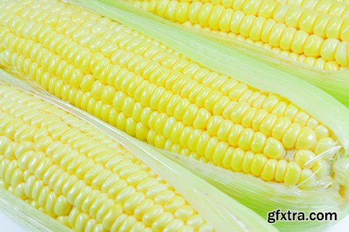 Stock Photos - Corn, 25xJPG