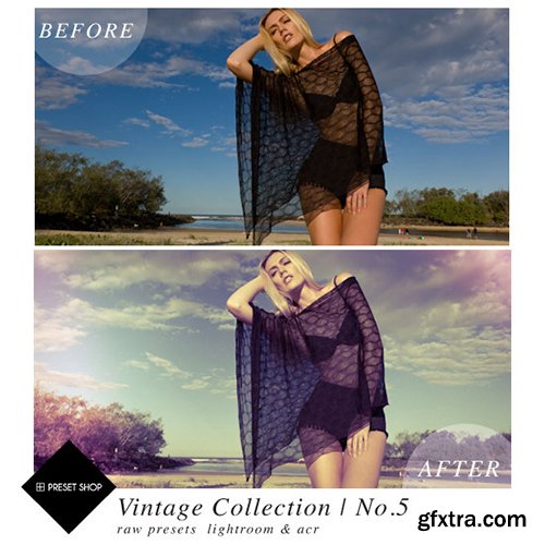 Vintage Presets Collection Lr+Acr