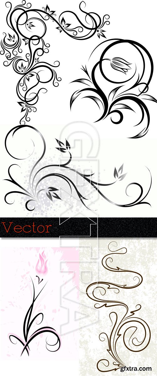 Decorative patterns and elements for design in Vector