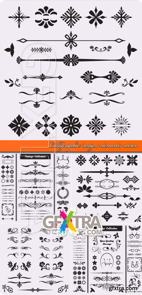 Calligraphic design elements vector