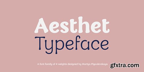 Aesthet Font Family - 4 Fonts $128