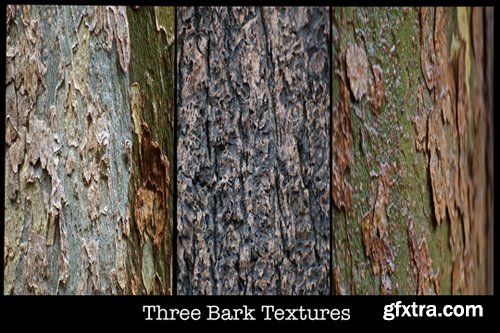 Bark Textures