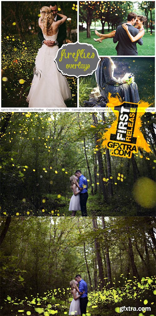 20 Fireflies Photo Overlays - CM 153618