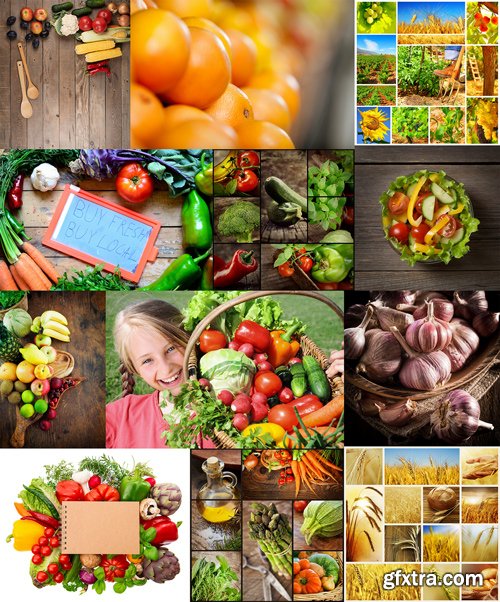 Stock Photo - Organic Food Concept, 25JPG