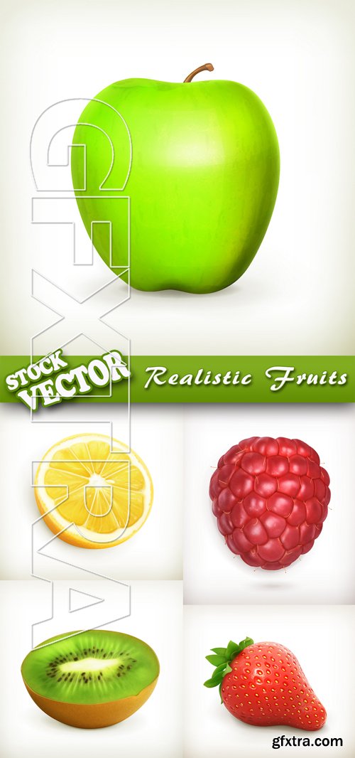 Stock Vector - Realistic Fruits