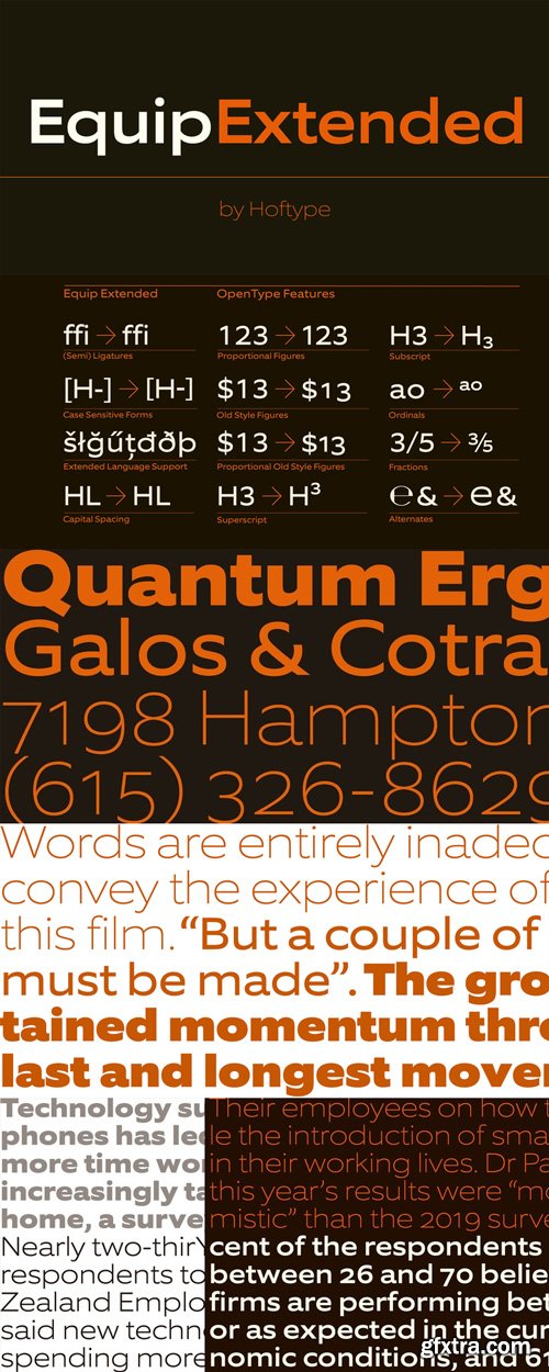 EquipExtended Font Family $198