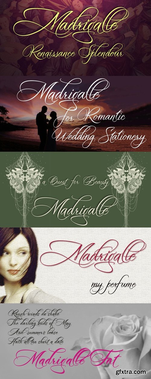 Madrigalle Font Family $86.50