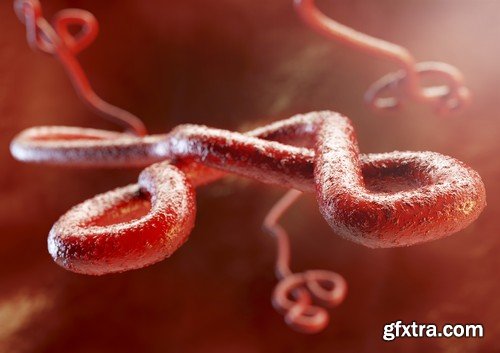 Stock Photos - Ebola, 25xJPG