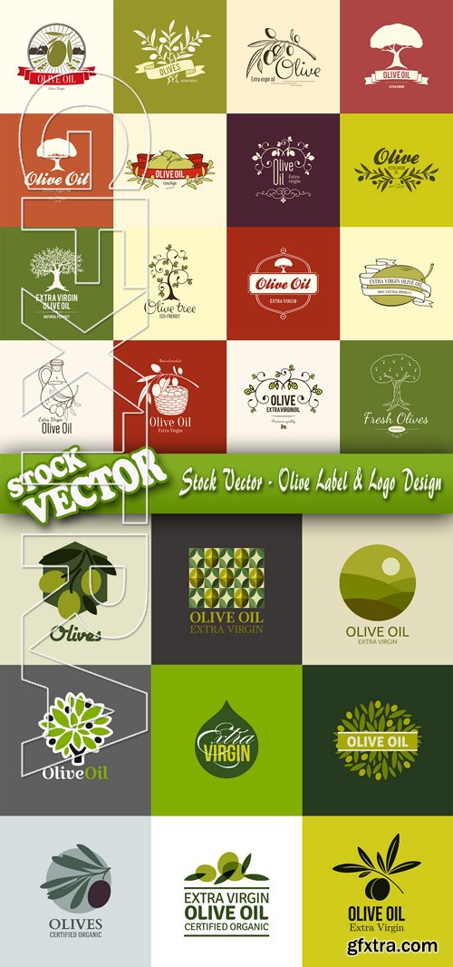 Stock Vector - Olive Label & Logo Design