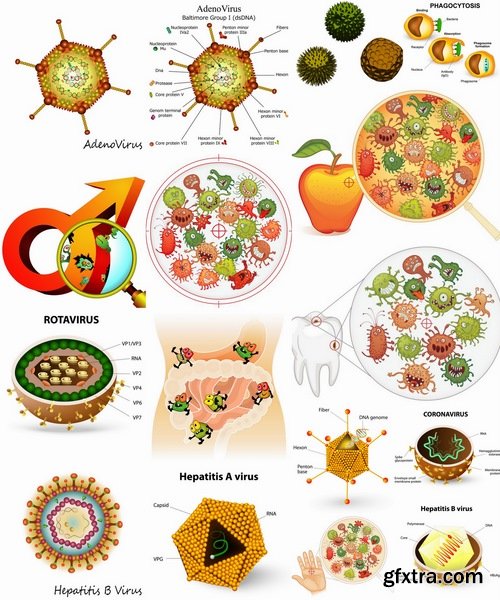 Collection of different vector picture virus 25 Eps