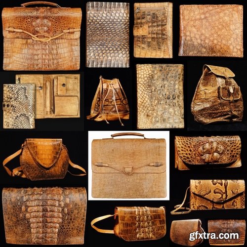 Collection of various bags from crocodile leather 25 HQ Jpeg