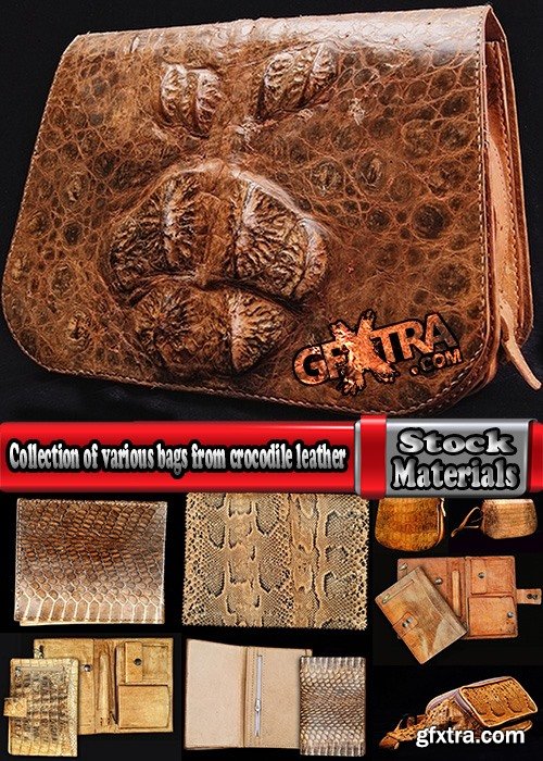 Collection of various bags from crocodile leather 25 HQ Jpeg